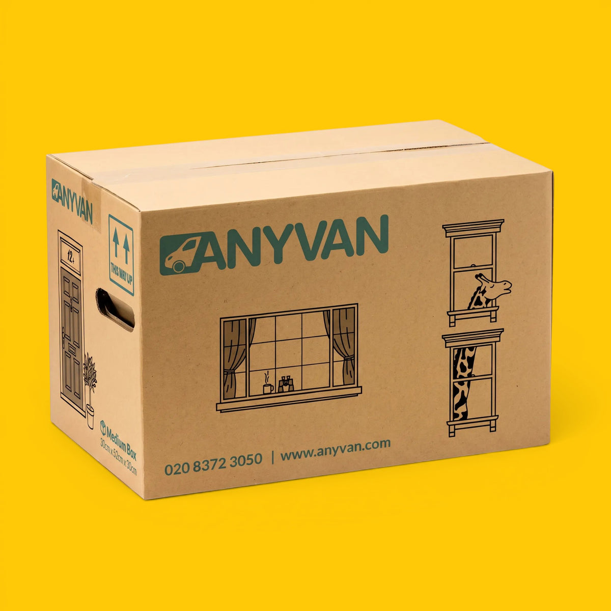 A brown cardboard moving box branded ANYVAN, shown at a three-quarter angle on a solid bright yellow background. The box features green brand lettering, window illustrations, and contact information.